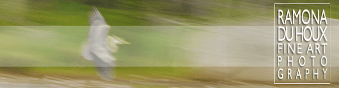 Screen Shot 2013-11-13 at 11.08.25 PM