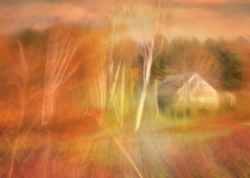 Thanksgiving by Ramona du Houx