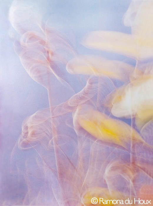 Whisper Song by Ramona du Houx