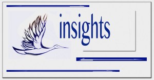 insights logo2